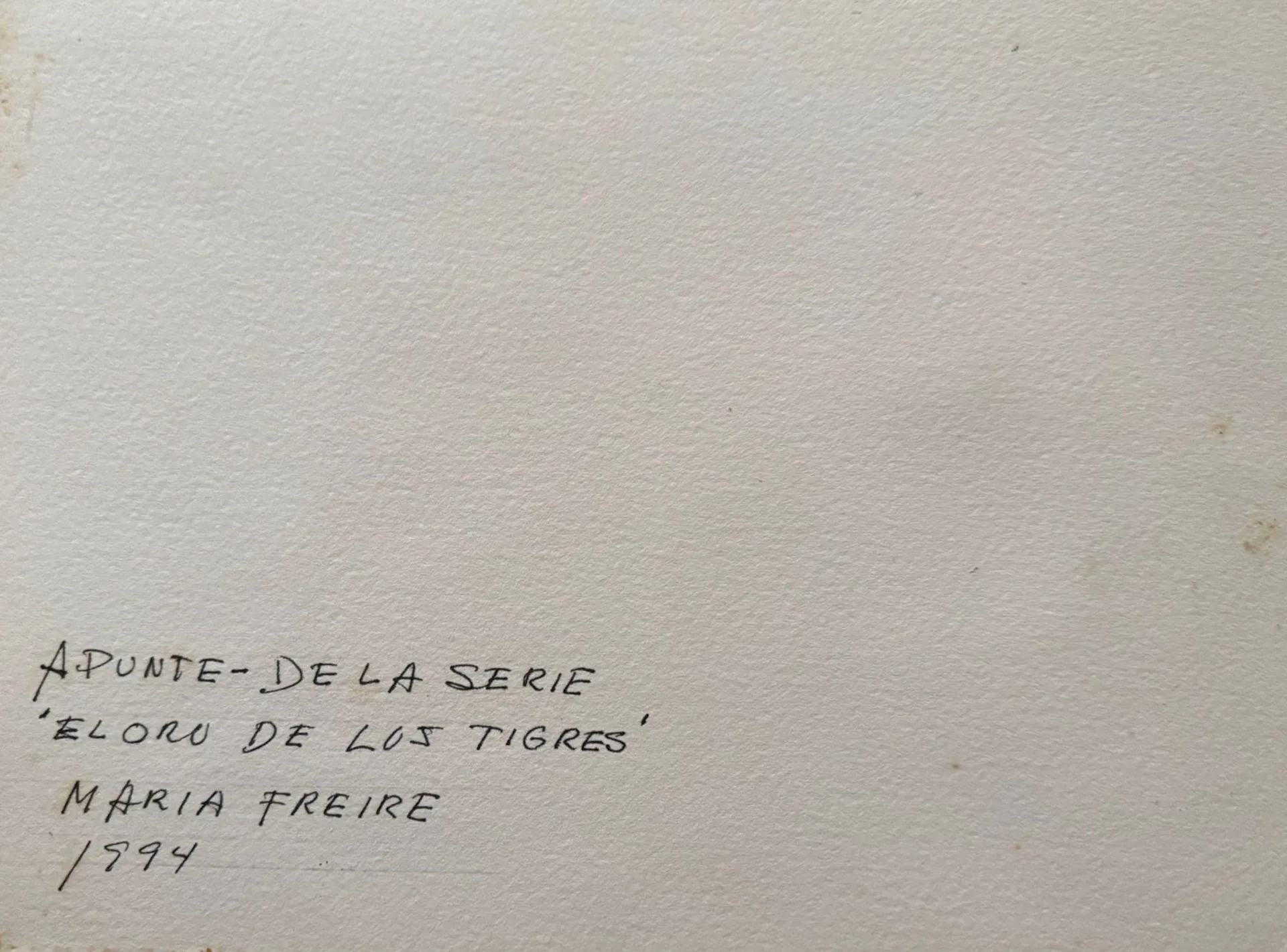 El Oro de los Tigres - Imagen 2